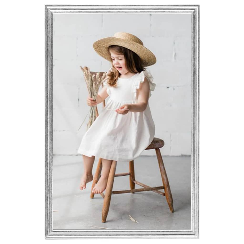 Vidaxl Photo Frames 3 PCS pour le tableau 21x29.7 cm Couleur en argent