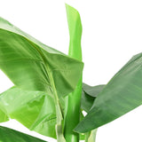 Vidaxl arbre artificiel avec pot de banane 300 cm vert