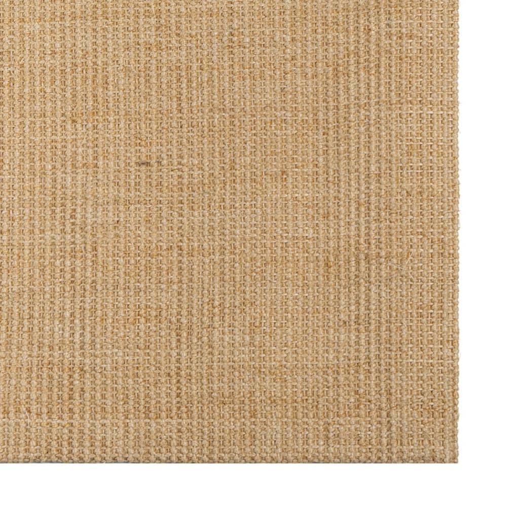 Vidaxl Rug 66x100 cm Sisal natural