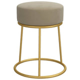 Vidaxl hocker rond fluweel donkergrijs