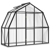 Vidaxl Greenhouse avec cadre de base 3,3 m² en aluminium anthracite -colored