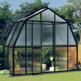 Vidaxl Greenhouse avec cadre de base 3,3 m² en aluminium anthracite -colored