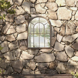 Vidaxl Garden Mirror 60x45 cm Sable de fer -colore