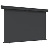 Vidaxl Balkon Bildschirm 165x250 cm schwarz