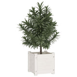 Vidaxl Planning Box 31x31x31 cm Pine solide blanc
