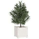 Jardinières vidaxl 2 ST 31x31x31 cm Pine solide blanc