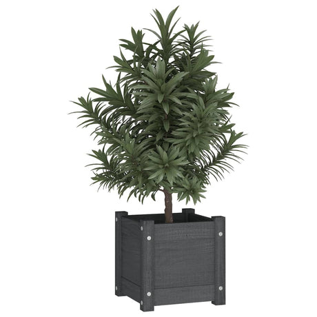 Jardinières vidaxl 2 pcs 31x31x31 cm en pin solide gris