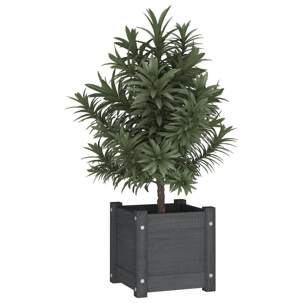 Vidaxl Planters 2 st 31x31x31 cm fast tallgrå