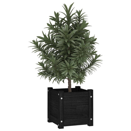 Vidaxl Planning Box 31x31x31 cm Pine solide noir