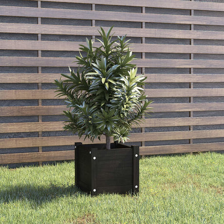 Vidaxl Planning Box 31x31x31 cm Pine solide noir