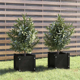 Vidaxl Planters 2 PCS 31x31x31 cm Solid Pine Pine Black