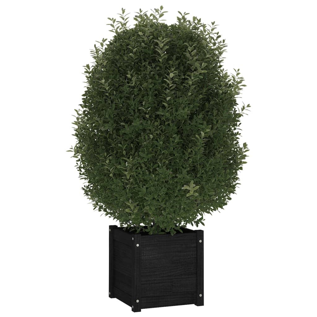 Jardinières vidaxl 2 ST 40x40x40 cm en pin solide noir