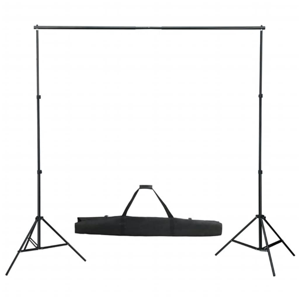 Ensemble de studio photo vidaxl avec ensemble d'éclairage et arrière-plan