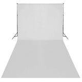 Ensemble de studio photo Vidaxxl avec kit d'éclairage et arrière-plan