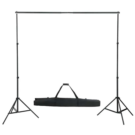 Ensemble de studio photo Vidaxl avec ensemble d'éclairage, arrière-plan et réflecteur