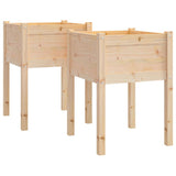 Jardinières Vidaxl 2 ST 50x50x70 cm Pine solide