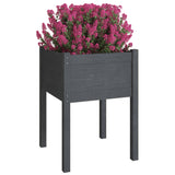 Vidaxl Planters 2 St 50x50x70 cm stałej sosny szarości