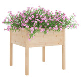 Vidaxl Planters 2 ST 70x70x70 cm Pine solide