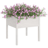 Vidaxl Planning Box 70x70x70 cm Pine solide blanc