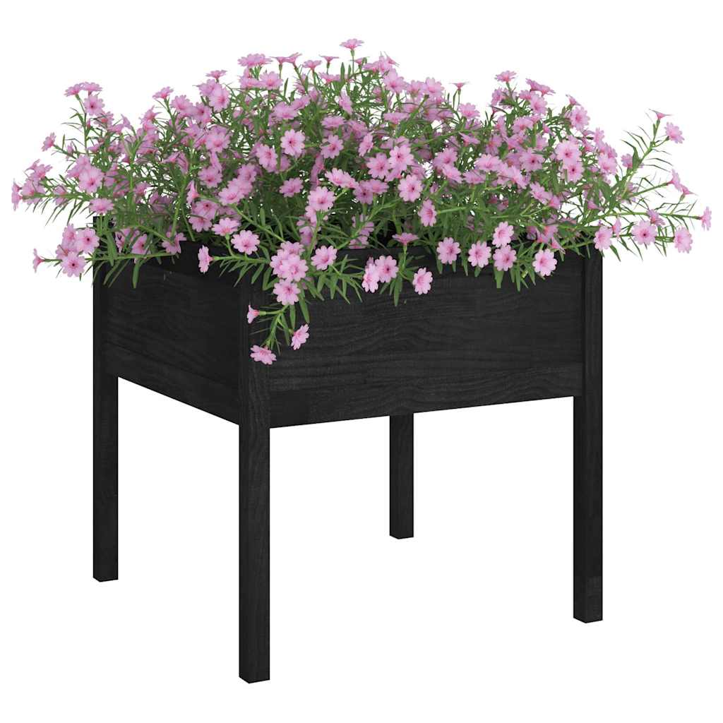 Vidaxl Planning Box 70x70x70 cm Pine solide noir