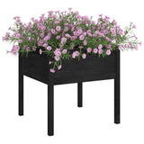 Vidaxl Planning Box 70x70x70 cm Pine solide noir