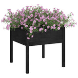 Vidaxl Planters 2 ST 70x70x70 cm Pine solide noir