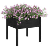 Vidaxl Planters 2 St 70x70x70 cm Solid furu svart