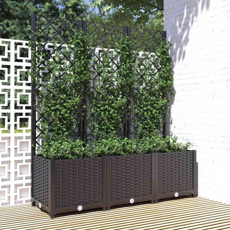 Vidaxl Plannet avec scolaris
