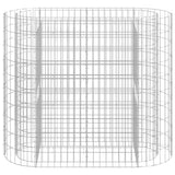 Vidaxl Gabion Planter surélevé 120x50x100 cm de fer galvanisé