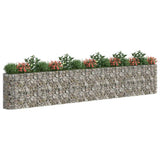 Vidaxl Gabion Planter a augmenté le fer galvanisé 540x50x100 cm