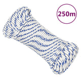 Corde à démarrage Vidaxl 4 mm 250 m de polypropylène blanc
