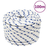 Corde à démarrage Vidaxl 14 mm 100 m de polypropylène blanc
