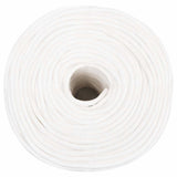 Vidaxl corde de bateau 6 mm 100 m polypropylène solide blanc