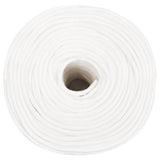 Vidaxl corde de bateau 10 mm 100 m polypropylène solide blanc