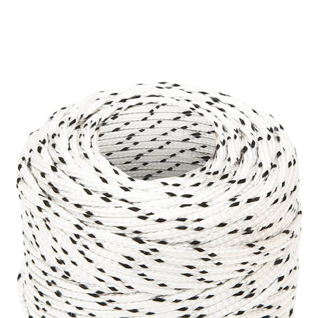 Corde de bateau vidaxl tressée 2 mm x 250 m de polyester blanc