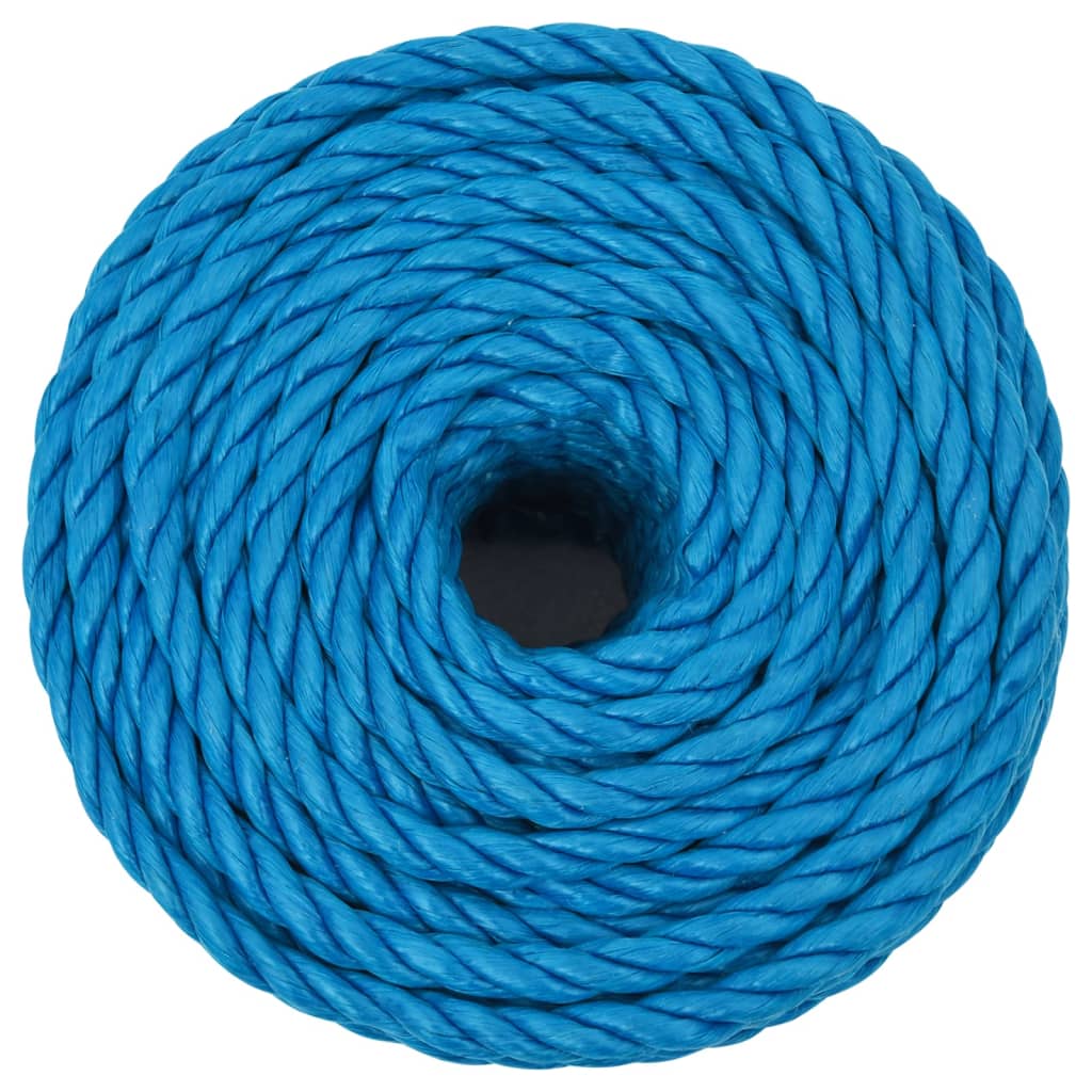 Vidaxx corde de travail 10 mm 25 m polypropylène bleu