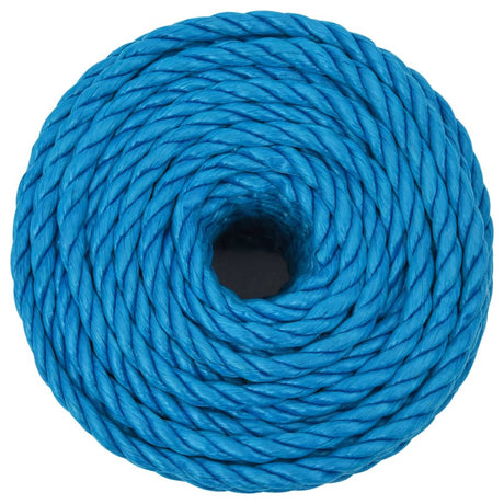 Vidaxx corde de travail 10 mm 25 m polypropylène bleu