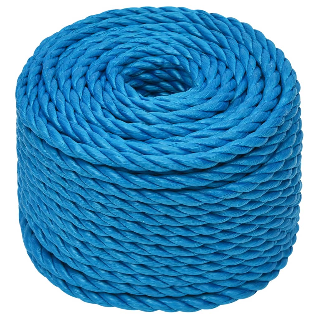 Vidaxl werktouw 12 mm 50 m polypropeen blauw