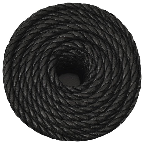 Vidaxx corde de travail 10 mm 250 m polypropylène noir
