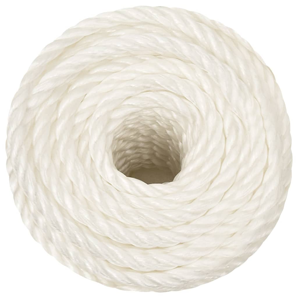 Vidaxx corde de travail 10 mm 100 m polypropylène blanc