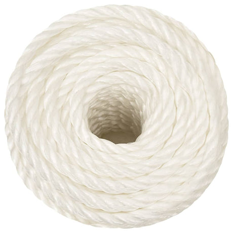 Vidaxx corde de travail 10 mm 500 m polypropylène blanc