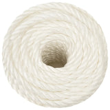 Vidaxx corde de travail 12 mm 250 m polypropylène blanc