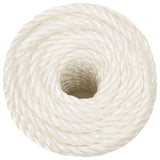 Vidaxx corde de travail 16 mm 100 m polypropylène blanc