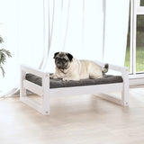 Vidaxl Dog Basket 65.5x50.5x28 cm Pine solide blanc