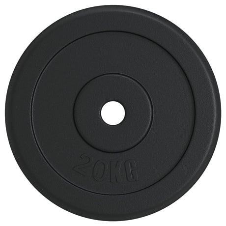 Disc licou vidaxl 20 kg en fonte