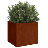 Vidaxx jardinières 2 pcs 42x40x39 cm acier corten