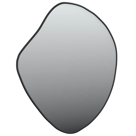 Vidaxx miroir mural 50x40 cm noir