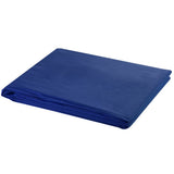 Arrière-plan vidaxl sans chromakey standard 600x300 cm Coton bleu