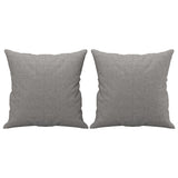 Vidaxl Coussins décoratifs 2 ST 40x40 cm Gris clair