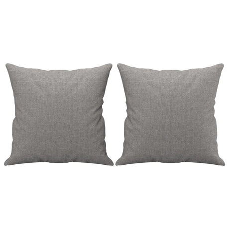 Vidaxl Coussins décoratifs 2 ST 40x40 cm Gris clair